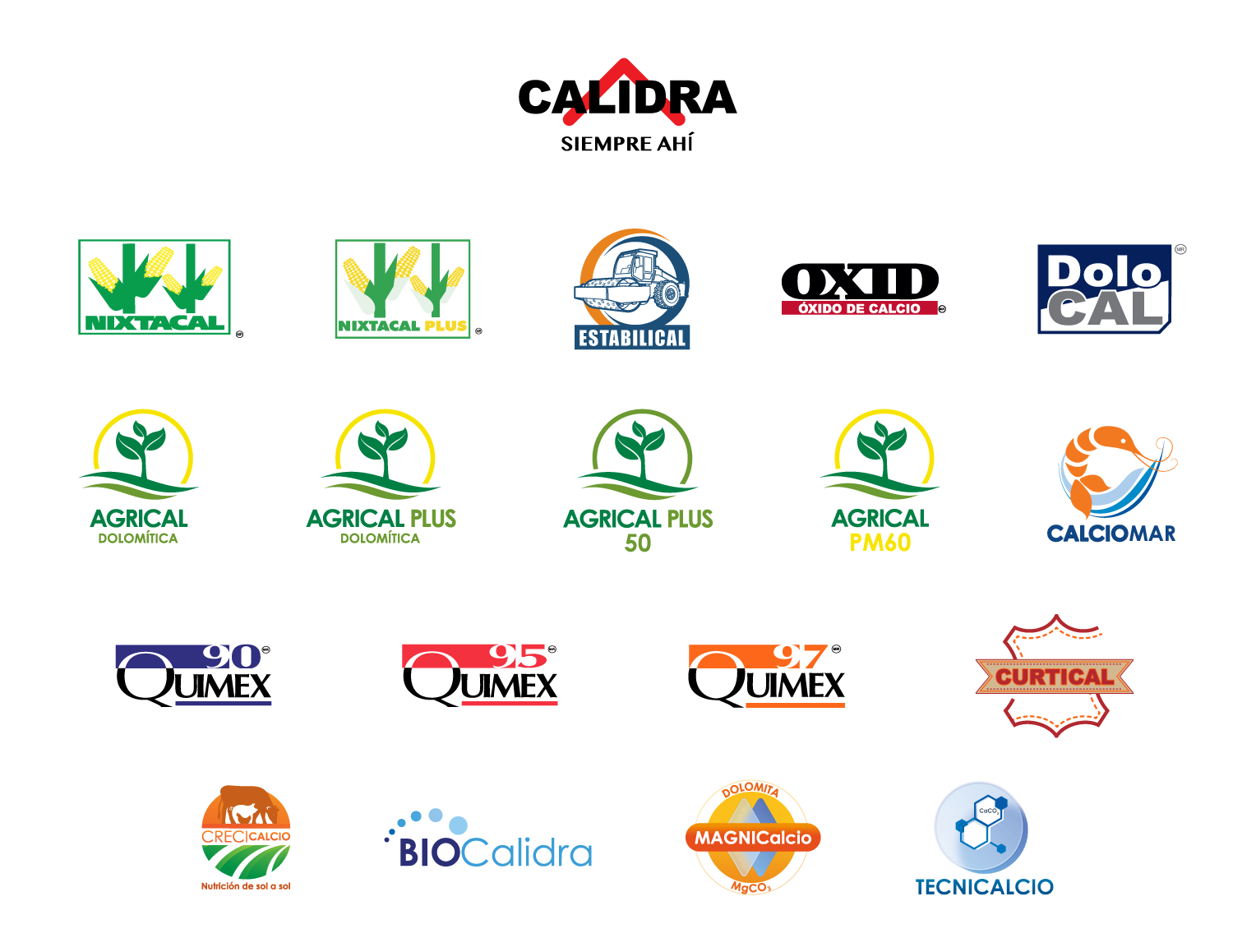 Marcas de cal Calidra, las mejores marcas de productos de cal especializados.